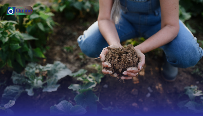 Lesson 09: Application for Permission to Organize an Environmental Awareness Campaign